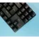 EGA K102 Lite TKL Gaming Keyboard คีย์บอร์ดแมคานิคอล 80%