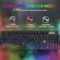 OKER K430 RGB Backlit Blue Switches Gaming Key Board