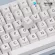(KBDFans) MAXKEY BOW SA
