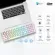 (Thai key) ROYAL KLUDGE RK100 White Wireless Mechanical Keyboard