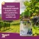 Vineyard Hill PLUS Formula ผลิตภัณฑ์เสริมอาหารผงไวน์แดงผสมสารสกัดจากผิวองุ่นและสารสกัดจากเมล็ดองุ่น