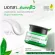 [Ready to ship free] Lur Skin Tea Tree Series Exclusive Set Anti Acne Set Acne Cleanser Water / Essential Serum / Sleeping Mask