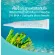 Elevator gel, pimple, Tarabo Tanik