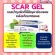 เจลแต้มรอยแผลเป็น รอยสิว สการ์ เจล กิฟฟารีน Scar Gel GIFFARINE