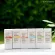 Napa Goodness เซรั่มบำรุงผิวหน้า Paperi สูตร รักษาสิว ลดการเกิดสิว ผิวแข็งแรงขึ้น รุ่น NP-253 ขนาด 15 ml.