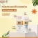 Terra Derm BB White SPF50/PA +++