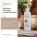 Tropicana (Troppica), Coconut Oil Lotion and Lotus Extract, Non Paraben, Size 240 ml