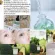 Graymelin Serum 50ml 8 Facial Nourishing Serum 100% Korean serum