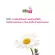 Cibma, Anti -Ajing Q10 Protection Cream 50 ml. Facial cream. Reduce wrinkles