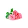 Neals yard remedies Rose Facial Wash