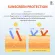 4 in 1! Ninny-Wow Sunscreen SPF50 PA +++ Guaranteed money!