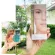 Smooth E Baby Face Gold Cream 30g reduce wrinkles, dull spots and premature aging.