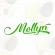 API Mollyn Avocado Facial Soap