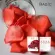 The Magic Mair Rose face mask adds moisture, reducing wrinkles for clear, smooth, soft skin.