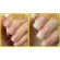 Hydrogel nails Provides moisture, dry nails and dried orphan leather with natural formulas (80g)