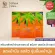 สบันงา เฮอเบิล ครีมมาส์กหน้า ว่านหางจระเข้ 10 g (3 ซอง) | Sabunnga Herbal Aloe Vera Green Clay Mask (3 pieces)