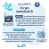 [แถมฟรี Eye Gel] OcuSOFT Lid Scrub Pad Original 30s - แผ่นเช็ดทำความสะอาดผิวรอบดวงตา อ๊อกคิวซอฟท์ ลิด สครับ ออริจินัล บรรจุ 30 แผ่น