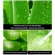 [Ready to ship/genuine] Aloe Vera gel Aloe Vera 98% Aloe Vera Gel 98% 300ml does not irritate sensitive skin.