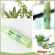 Pack 2 Blistex Herbal Answer Lip SPF15 Lip Balm Lip nourishes With 5 types of natural herbs extracts 4.25 g