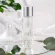 JBP JBP Thailand LNC Moisture Lotion Size 120 ml