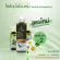 Moringa oil lotion, pump type, reduce itching on the skin, tighten the skin, nourish the skin to moisturize the 240 ml.