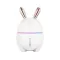 300ml Mini Air Humidifier Cute Rabbit USB I L DIFR NIT LIT CAR AIR IFIER MIST Maer