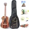 Wholesale a lot of 30 inches, all Blagwood, Barikon, Aku, electric ukulele, scaffolding and Gigbag and all accessories.