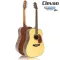 Clevan D25S 41 inch guitar, top -top Sol, Nubone ** Using D'Addario Exp12, rust -proof strap **