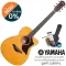 YAMAHA® AC5M 40 -inch electric guitar, Concert Body Cutaway 20 Freck, Top Solid Sidaz Side and back of the Seoul Mahogok