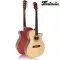 Fantasia Acoustic Guitar กีตาร์โปร่ง 40 นิ้ว คอเว้า รุ่น QAG401G ** กีต้าร์โปร่งมือใหม่ **
