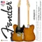 Fender® American Performer Telecaster กีตาร์ไฟฟ้า 22 เฟรต ทรง Tele ไม้อัลเดอร์ ปิ๊กอัพ Yosemite® + แถมฟรีกระเป๋า Deluxe ** Made in USA / ประกันศูนย์ 1
