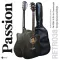 PASSION RETRO 38 Acoustic Guitar, 38 inch acoustic guitar, Dreadnough style, concave neck, bend + free guitar bag ** new acoustic guitar **