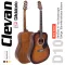 [Sell well] Clevan D10, airy guitar 41 "D style D Ya Ya Sandburt color + guitar line D'Amdario ** Airy guitar, Yamaha F310 / Set up