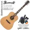 Paramount S450E กีตาร์โปร่งไฟฟ้า 41 นิ้ว ไม้ท็อปโซลิดซีดาร์ ระดับมืออาชีพ / Fishman Isys+ / สาย D'addario EXP+ แถมฟรีอุ