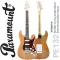 Paramount PE132 Stratosonic กีตาร์ไฟฟ้า ทรง Strat 22 เฟรต ไม้แอช คอเมเปิ้ล ฟิงเกอร์บอร์ดไม้โรสวู้ด ปิ๊กอัพ HSS + แถมฟรีคันโยก ** ประกันศูนย์ 1 ปี **