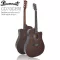 Paramount CD70CEM 41 -inch electric guitar, D -neck, concave neck, Top Solid Mahogy/Mahogany Shadow coating for the whole body ** Fish pickup