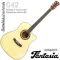 Fantasia C42, 41 inch acoustic guitar, Dreadnough style, concave neck, spruce/linden coated ** new acoustic guitar **
