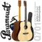 PARAMOUNT Q701, 41 inch guitar, topped up, rosewood/rosewood, Dreadnought, coated coating, knob Open Gear