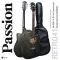 Passion Retro 41 Acoustic Guitar, 41 -inch acoustic guitar, Dreadnough style, concave neck, bend + free guitar bag ** new acoustic guitar **