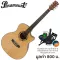 PARAMOUNT QAG501 41 -inch guitar, concave neck, Taylor style, top -tops, spruce/mahogany coated + free bag & tuner