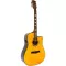 PARAMOUNT Electric Guitar 41 "Genuine pine wood level, model S450CE + Fishman Isys + Pickup & D'Addario EXP cable