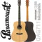 Paramount Qag711 Airy Guitar / QAG711E Electric 41 "Dreadnought style Slide Sterer/Sold Rose Wood, SE-40 coating for the QA model