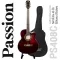 PASSION PS408C, airy guitar, 40 inches, linden, coated linden, neck coated, neck + free, free guitar bag & Pik ** Poke guitar