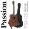 Passion PS412C กีตาร์โปร่ง 41 นิ้ว ทรง D คอเว้า ไม้มะฮอกกานี/ลินเดน มีเหล็กดามคอ + แถมฟรีกระเป๋ากีตาร์โปร่ง & ปิ๊ก ** กี