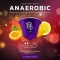 AGAPE Anaerobic 10 Capsule Coffee