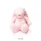 EVOLI BABY HUGGABLE BUNNY (30CM)