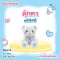 Lovely White Bear Doll Rainflower Baby Baby Starch