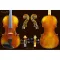 Professional students use the violin STV-017E, hardwood violin made by hand (Scott Joeoolin
