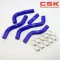 Silicone Radiator Hose for Suzuki RMZ250 RM-Z 250 2008 2009 CLPPS BLUE