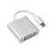 The USB3.1 Type-C converter is DVI. The MacBook Type-C is DVI.